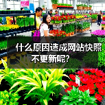 什么原因造成网站快照不更新呢？（图4）