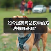 如今提高网站权重的方法有哪些呢?(图1) 如今提高网站权重的方法有哪些呢?(图1)