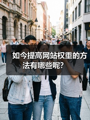 如今提高网站权重的方法有哪些呢?(图4) 如今提高网站权重的方法有哪些呢?(图4)