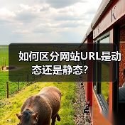 如何区分网站URL是动态还是静态？（图1）