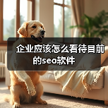 企业应该怎么看待目前的seo软件(图3) 企业应该怎么看待目前的seo软件(图3)