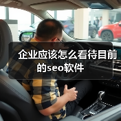 企业应该怎么看待目前的seo软件(图1) 企业应该怎么看待目前的seo软件(图1)
