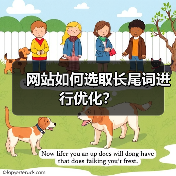 网站如何选取长尾词进行优化?(图3) 网站如何选取长尾词进行优化?(图3)