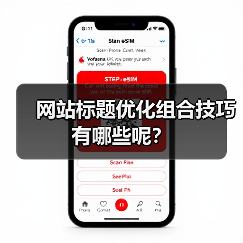 网站标题优化组合技巧有哪些呢?(图2) 网站标题优化组合技巧有哪些呢?(图2)