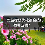 网站标题优化组合技巧有哪些呢?(图4) 网站标题优化组合技巧有哪些呢?(图4)