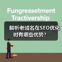 解析老域名在SEO优化时有哪些优势?(图4) 解析老域名在SEO优化时有哪些优势?(图4)