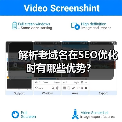 解析老域名在SEO优化时有哪些优势?(图1) 解析老域名在SEO优化时有哪些优势?(图1)