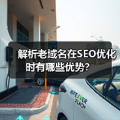解析老域名在SEO优化时有哪些优势?(图3) 解析老域名在SEO优化时有哪些优势?(图3)
