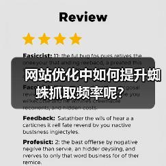 网站优化中如何提升蜘蛛抓取频率呢？（图1）