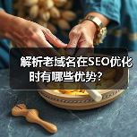 解析老域名在SEO优化时有哪些优势?(图2) 解析老域名在SEO优化时有哪些优势?(图2)
