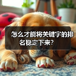 怎么才能将关键字的排名稳定下来?(图4) 怎么才能将关键字的排名稳定下来?(图4)