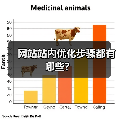 网站站内优化步骤都有哪些?(图3) 网站站内优化步骤都有哪些?(图3)