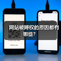网站被降权的原因都有哪些?(图4) 网站被降权的原因都有哪些?(图4)