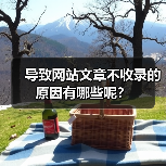 导致网站文章不收录的原因有哪些呢?(图4) 导致网站文章不收录的原因有哪些呢?(图4)