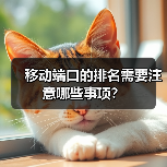 移动端口的排名需要注意哪些事项?(图4) 移动端口的排名需要注意哪些事项?(图4)