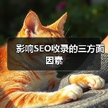 影响SEO收录的三方面因素(图3) 影响SEO收录的三方面因素(图3)