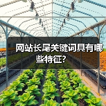 网站长尾关键词具有哪些特征?(图3) 网站长尾关键词具有哪些特征?(图3)