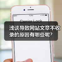 浅谈导致网站文章不收录的原因有哪些呢?(图3) 浅谈导致网站文章不收录的原因有哪些呢?(图3)