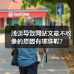 浅谈导致网站文章不收录的原因有哪些呢?(图1) 浅谈导致网站文章不收录的原因有哪些呢?(图1)