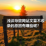 浅谈导致网站文章不收录的原因有哪些呢?(图4) 浅谈导致网站文章不收录的原因有哪些呢?(图4)
