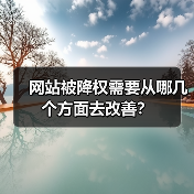 网站被降权需要从哪几个方面去改善？（图2）