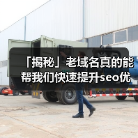 「揭秘」老域名真的能帮我们快速提升seo优化效果吗?(图4) 「揭秘」老域名真的能帮我们快速提升seo优化效果吗?(图4)