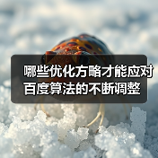 哪些优化方略才能应对百度算法的不断调整（图1）