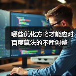 哪些优化方略才能应对百度算法的不断调整（图2）