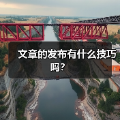 文章的发布有什么技巧吗?(图1) 文章的发布有什么技巧吗?(图1)