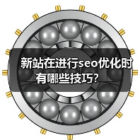 新站在进行seo优化时有哪些技巧？（图1）