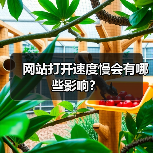 网站打开速度慢会有哪些影响?(图4) 网站打开速度慢会有哪些影响?(图4)