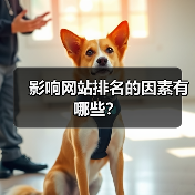 影响网站排名的因素有哪些?(图1) 影响网站排名的因素有哪些?(图1)