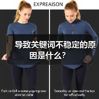 导致关键词不稳定的原因是什么?(图2) 导致关键词不稳定的原因是什么?(图2)
