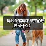 导致关键词不稳定的原因是什么?(图1) 导致关键词不稳定的原因是什么?(图1)