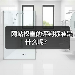 网站权重的评判标准是什么呢？（图4）