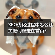 SEO优化过程中怎么让关键词稳定在首页?(图1) SEO优化过程中怎么让关键词稳定在首页?(图1)