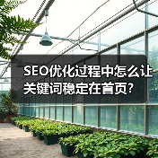 SEO优化过程中怎么让关键词稳定在首页?(图2) SEO优化过程中怎么让关键词稳定在首页?(图2)