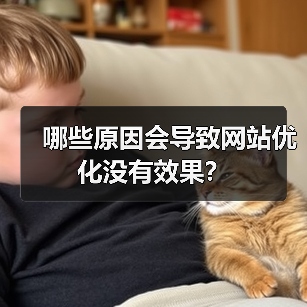 哪些原因会导致网站优化没有效果？（图3）