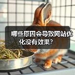 哪些原因会导致网站优化没有效果？（图4）