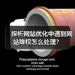 探析网站优化中遇到网站降权怎么处理？（图2）