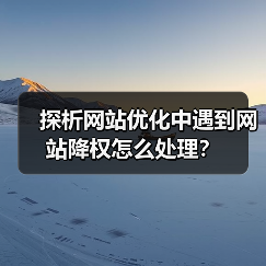 探析网站优化中遇到网站降权怎么处理？（图3）