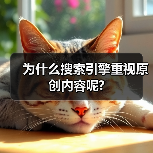为什么搜索引擎重视原创内容呢?（图4）