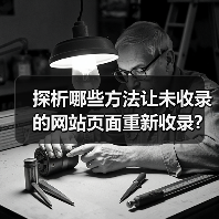 探析哪些方法让未收录的网站页面重新收录?（图1）