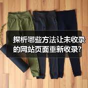 探析哪些方法让未收录的网站页面重新收录?（图2）