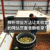 探析哪些方法让未收录的网站页面重新收录?（图3）