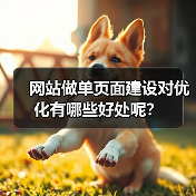 网站做单页面建设对优化有哪些好处呢?(图1) 网站做单页面建设对优化有哪些好处呢?(图1)