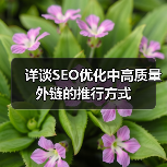 详谈SEO优化中高质量外链的推行方式(图3) 详谈SEO优化中高质量外链的推行方式(图3)