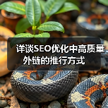 详谈SEO优化中高质量外链的推行方式(图1) 详谈SEO优化中高质量外链的推行方式(图1)