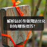 解析站长在做网站优化时有哪些技巧?(图3) 解析站长在做网站优化时有哪些技巧?(图3)