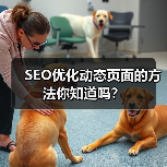 SEO优化动态页面的方法你知道吗?(图3) SEO优化动态页面的方法你知道吗?(图3)